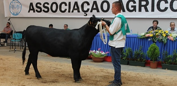 AGROTER