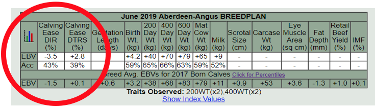 Screen Shot 2019-07-09 at 19.04.51