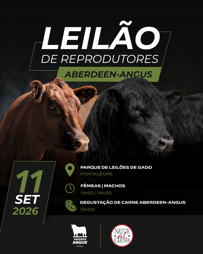 LEILÃO