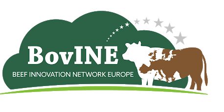 bovinenovo