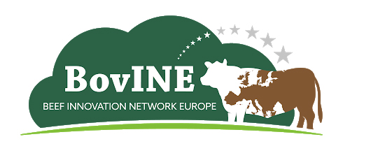 bovinenovo