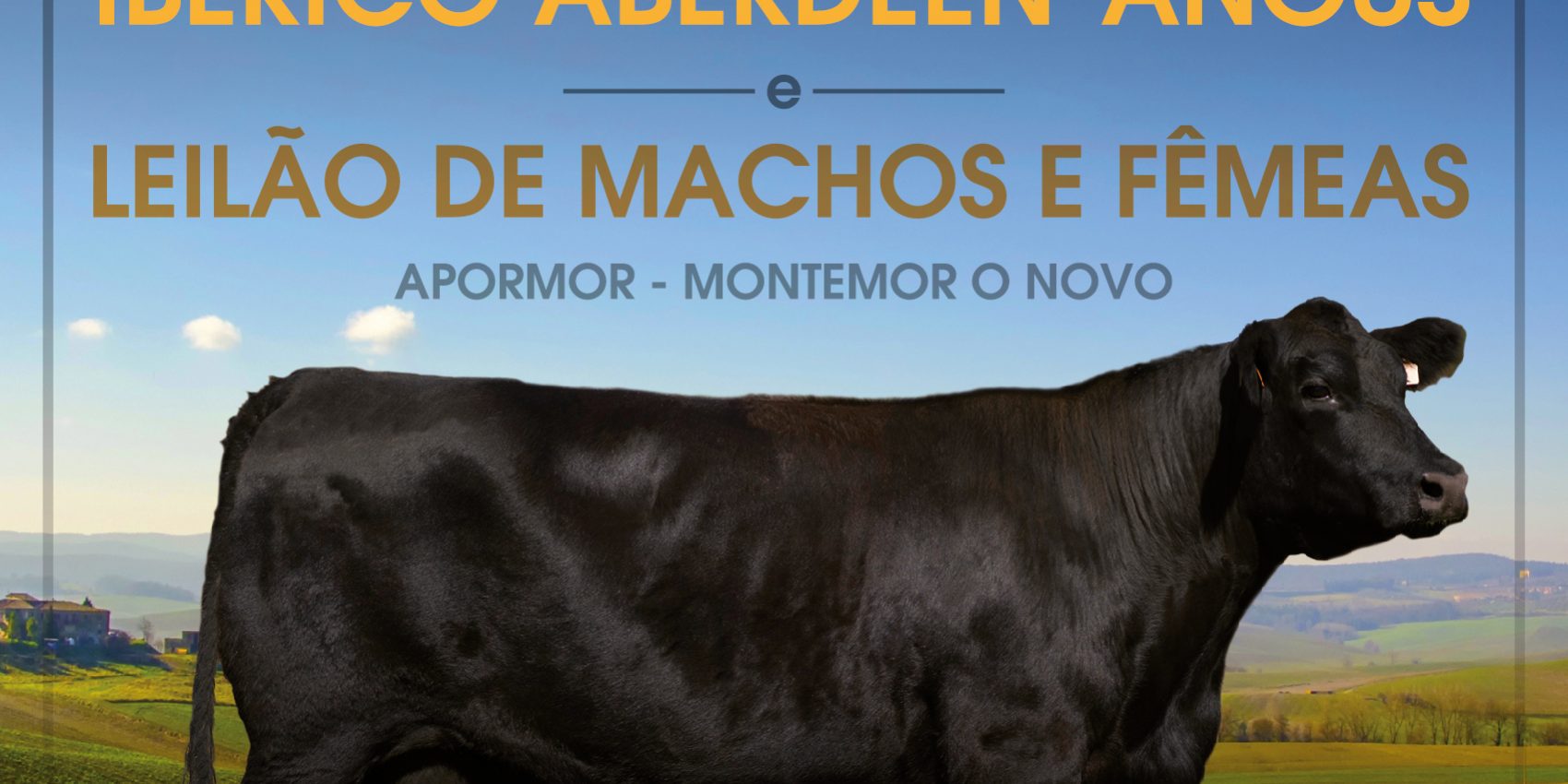 Formato digital – Concurso e Leilão